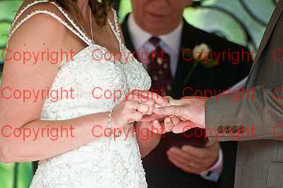 photographer Canterbury