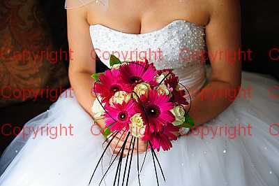 photographer Canterbury