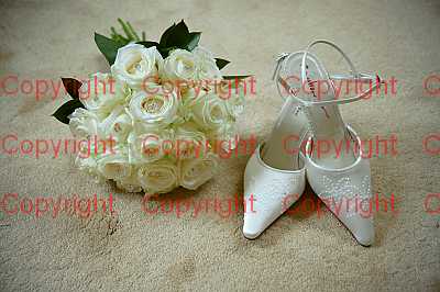 photographer Canterbury