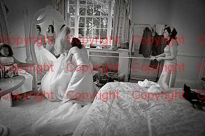 photographer Canterbury