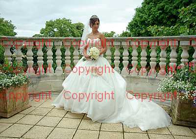 photographer Canterbury