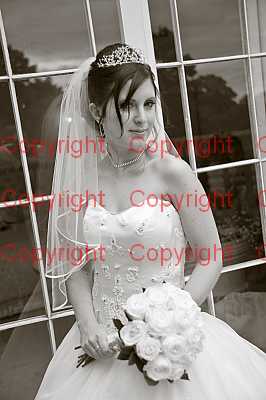 photographer Canterbury