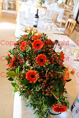 photographer Canterbury