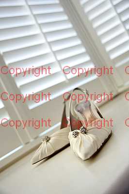 photographer Canterbury