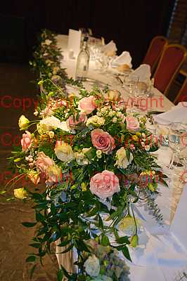 photographer Canterbury