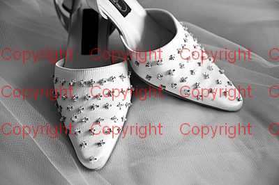 photographer Canterbury