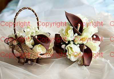 photographer Canterbury