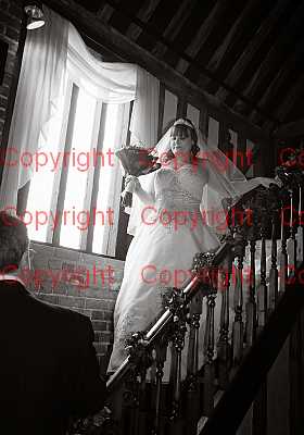 photographer Canterbury