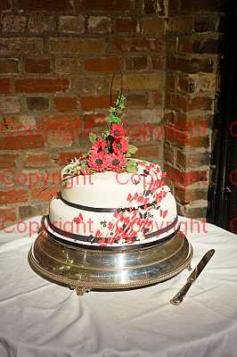 photographer Canterbury