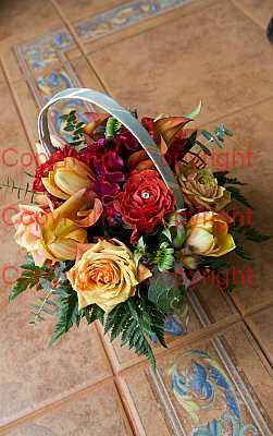 photographer Canterbury