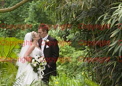 photographer Canterbury