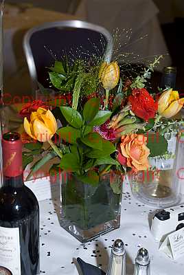 photographer Canterbury