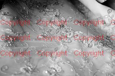 photographer Canterbury