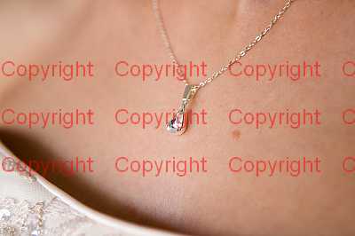 photographer Canterbury