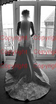 photographer Canterbury