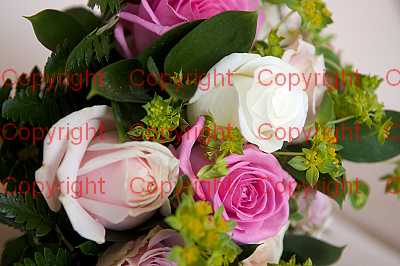 photographer Canterbury