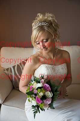 photographer Canterbury