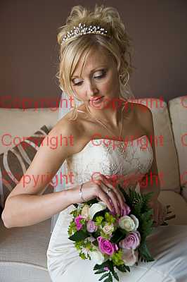 photographer Canterbury