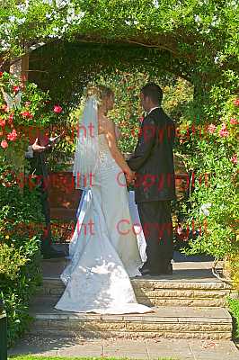 photographer Canterbury