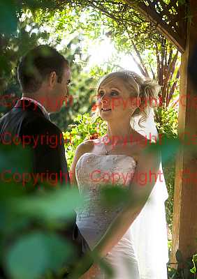 photographer Canterbury