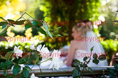 photographer Canterbury