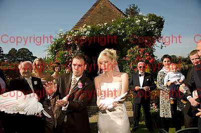 photographer Canterbury