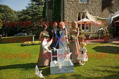 photographer Canterbury