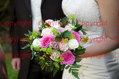 photographer Canterbury