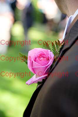 photographer Canterbury