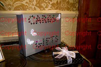 photographer Canterbury