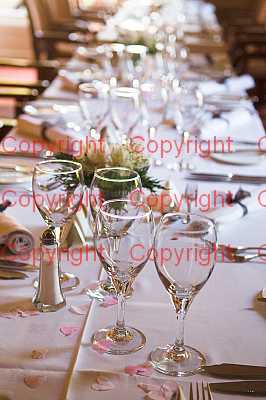 photographer Canterbury