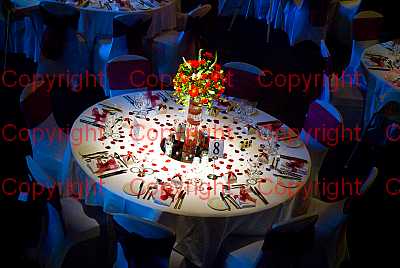 photographer Canterbury