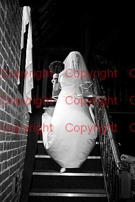 photographer Canterbury