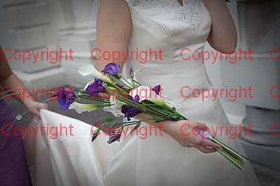 photographer Canterbury