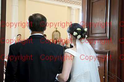 photographer Canterbury