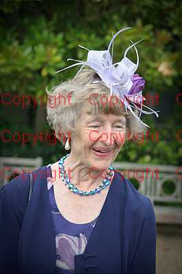 photographer Canterbury