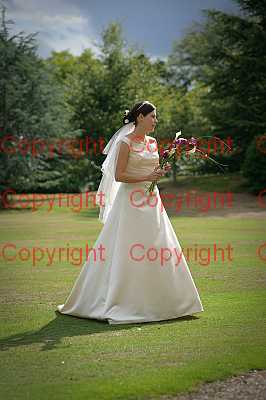 photographer Canterbury