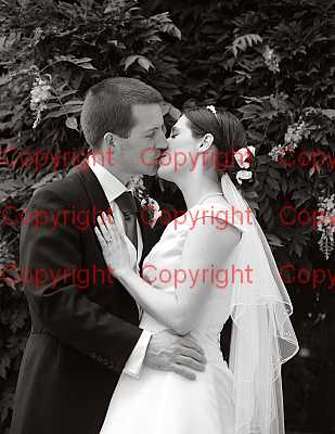 photographer Canterbury