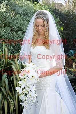 photographer Canterbury