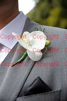 photographer Canterbury