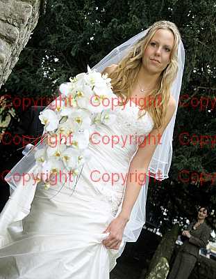 photographer Canterbury