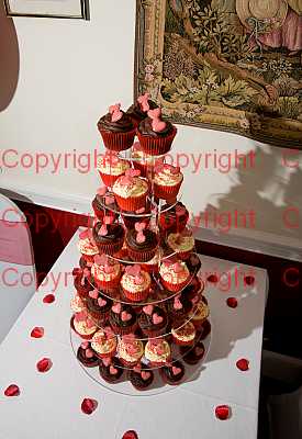 photographer Canterbury