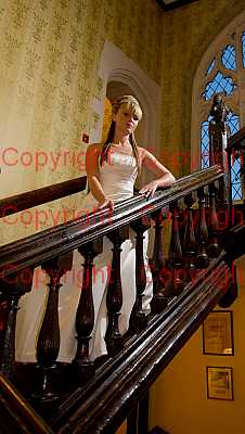 photographer Canterbury