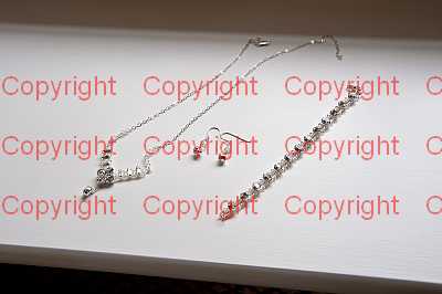 photographer Canterbury