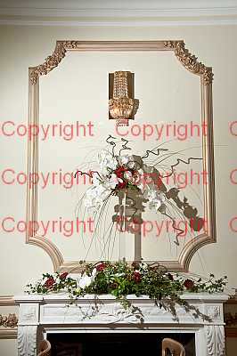 photographer Canterbury