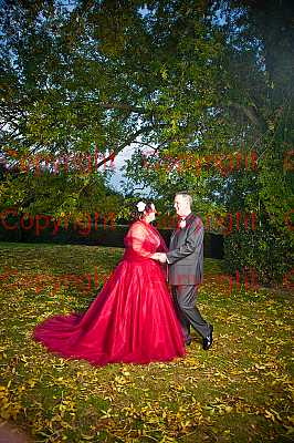 photographer Canterbury