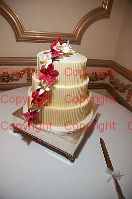 photographer Canterbury