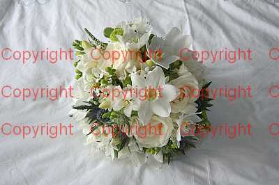 photographer Canterbury