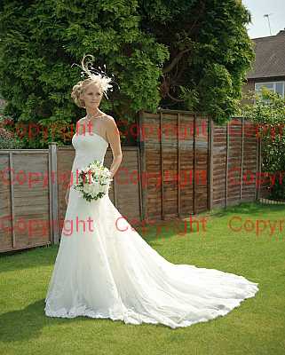 photographer Canterbury