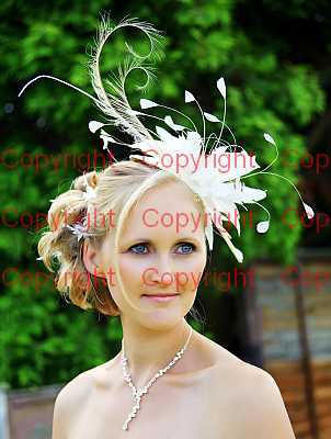 photographer Canterbury